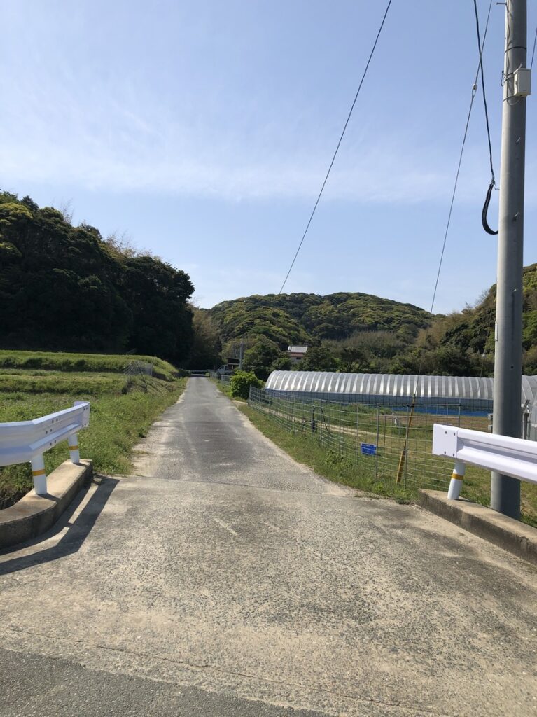 トトロが出てきそうな山奥