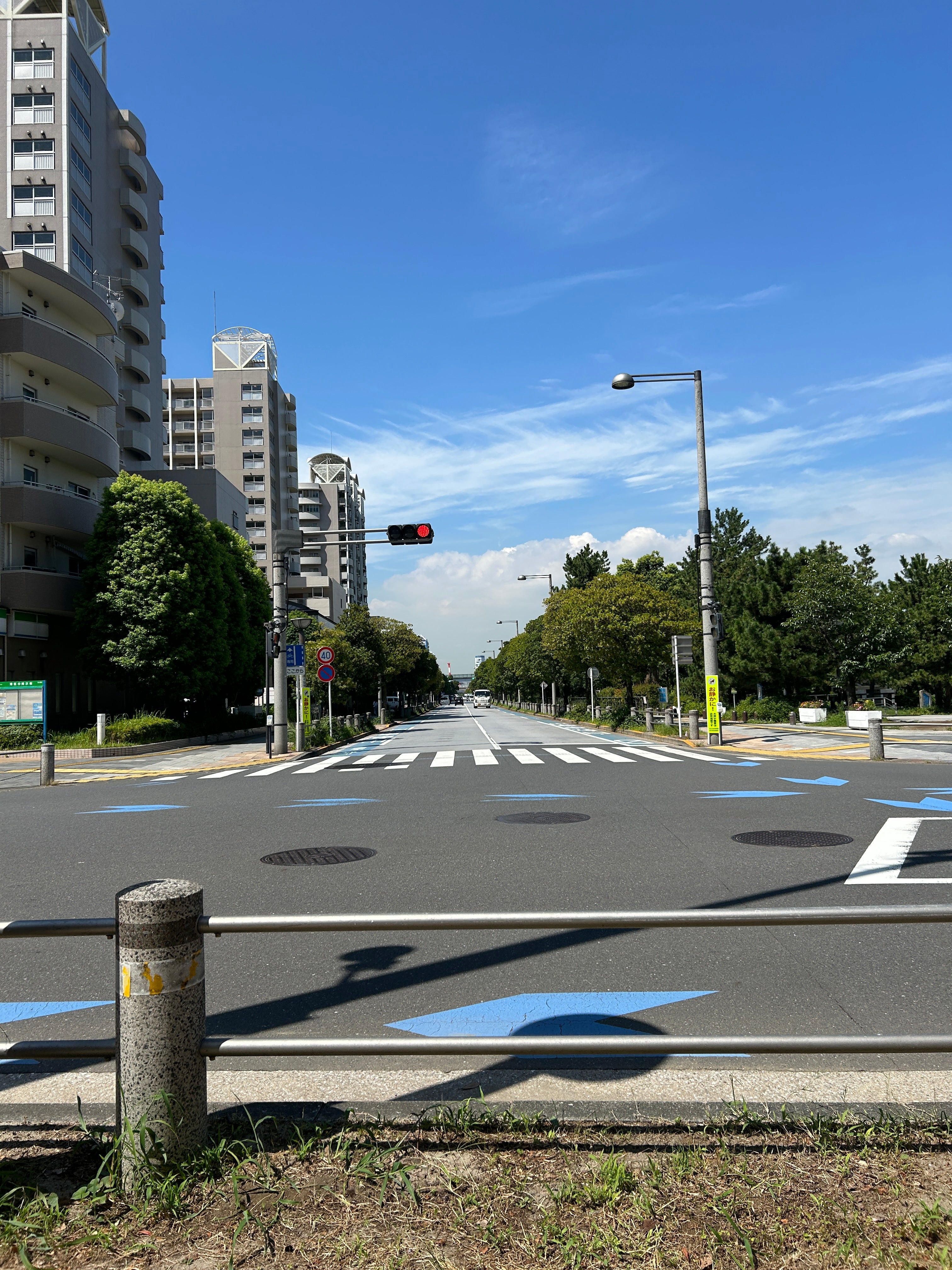 今日も長閑な…