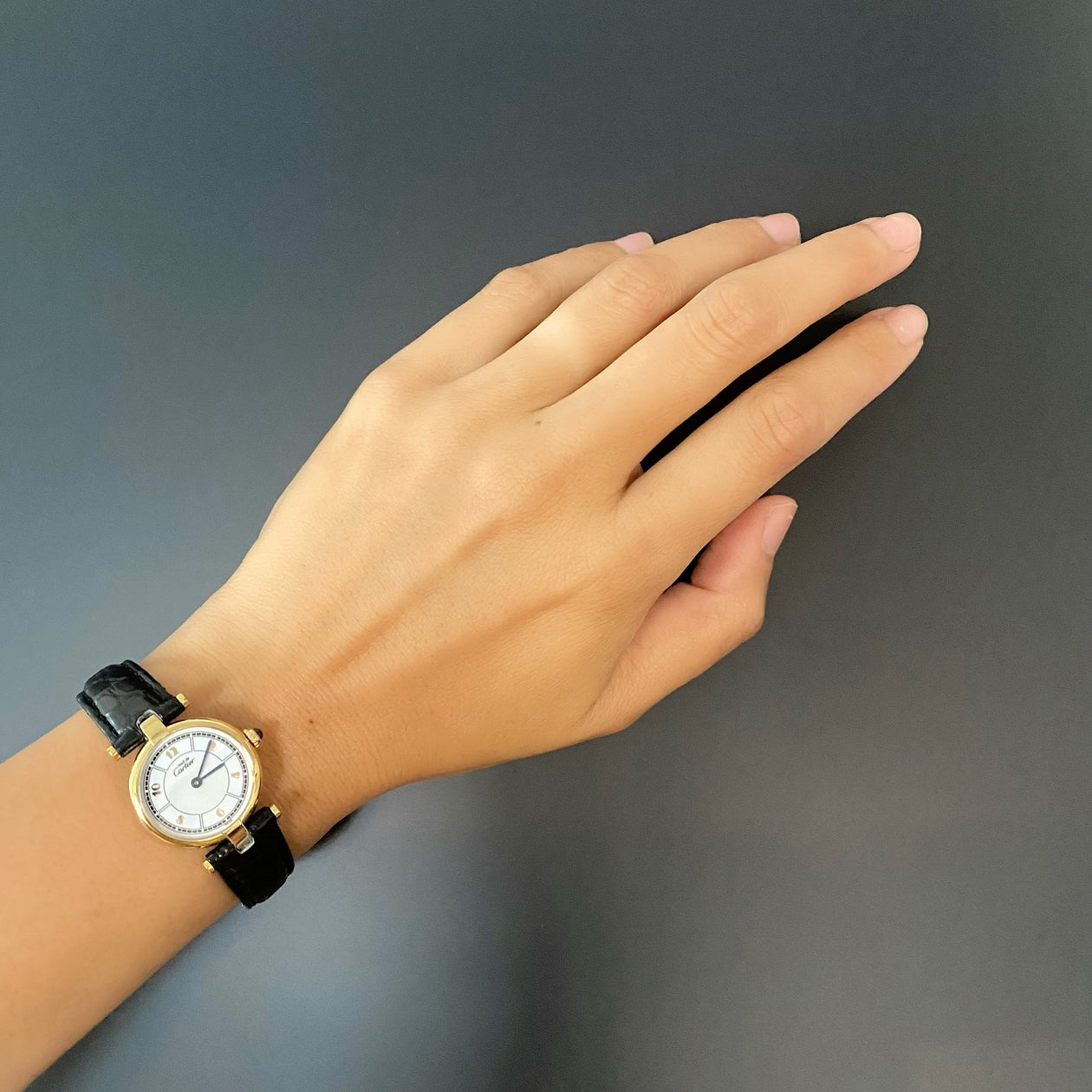 15A19FE2-9CAD-433C-A0AD-  