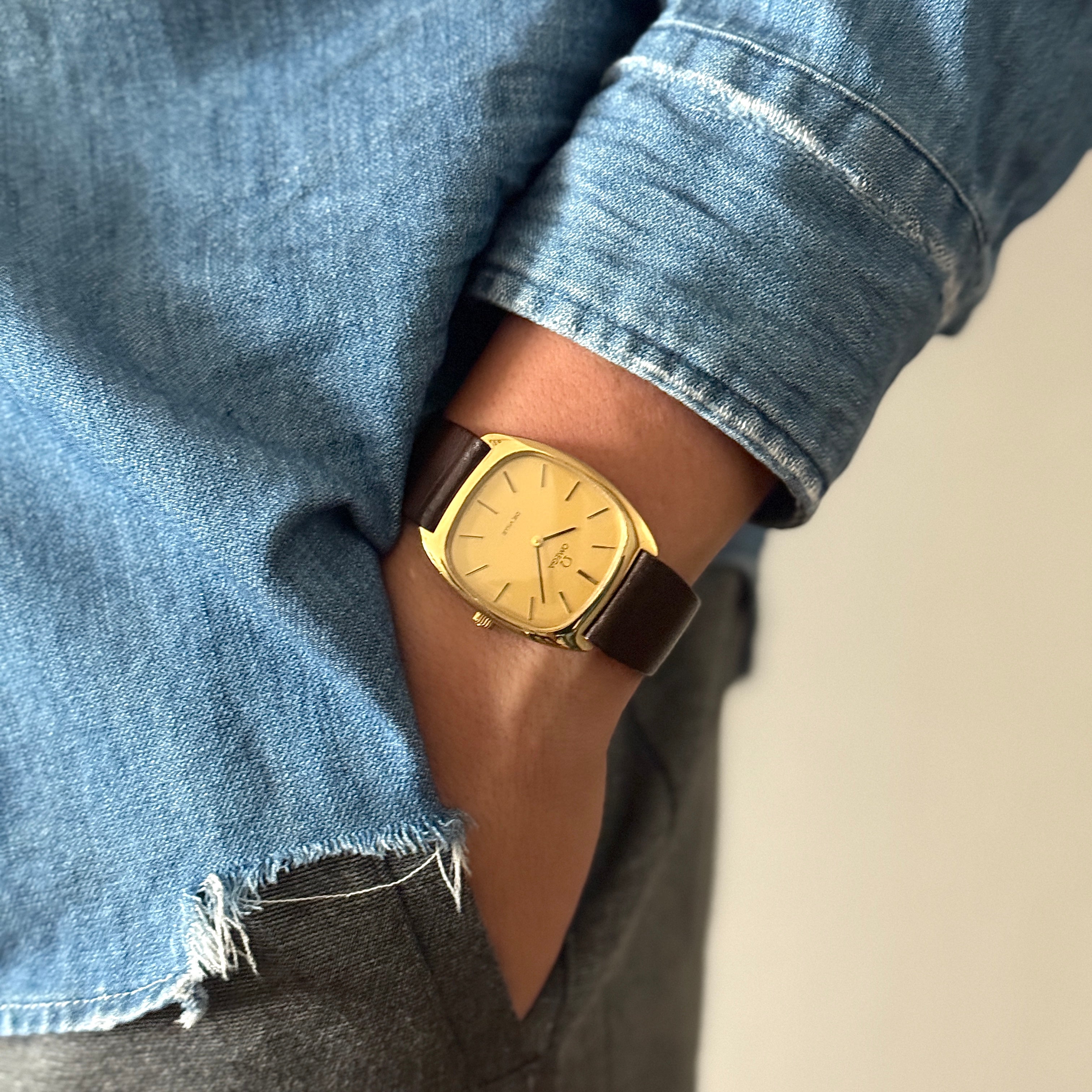 [Omega] 歐米茄碟飛系列 GP 電視螢幕保護殼 金色 Deadstock